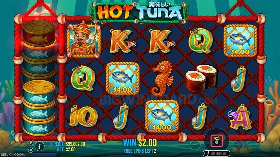 bigbunny Avoiding Common Betting Mistakes