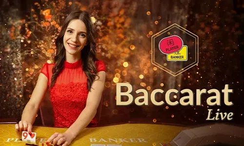 Understanding Online Casino Security with bigbunny